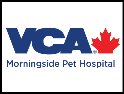 https://www.scarboroughsoftballassociation.com/wp-content/uploads/sites/3055/2022/01/Sponsor-Logo-Morningside-Vet.png